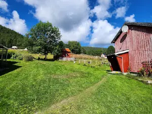Oddan alpakka