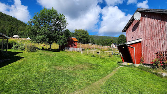 Oddan alpakka