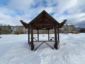 Dvinopark