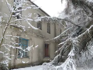 Усадебный дом Мартиновских, конец XIX в.