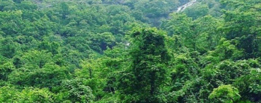 Sangurli waterfall