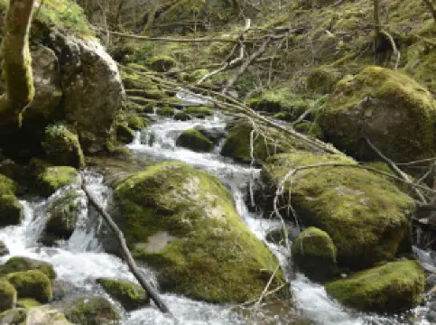 Ruta Desfiladeru de Les Xanes