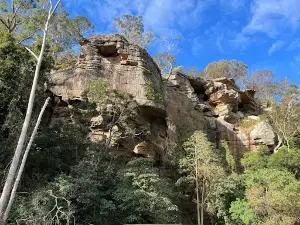 Treetops Adventure Nowra