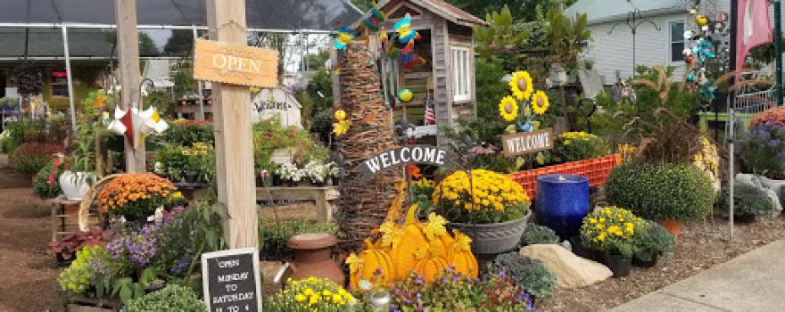 BCS Boutique & Garden Shop