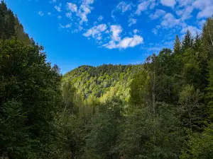Cascada Buciaș