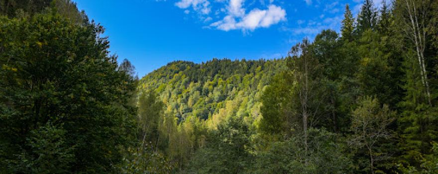 Cascada Buciaș