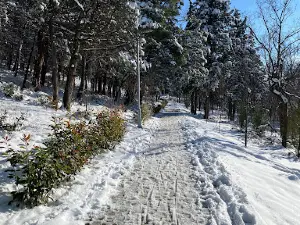 Park „Ljupčo Škartov“
