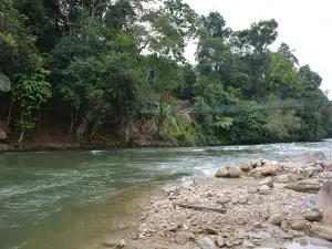 Bedeng 7 river park