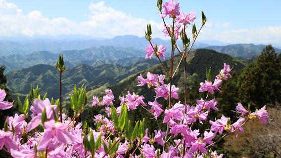 Jominesan Camping Ground