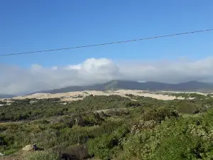 Nature Sanctuary Laguna Conchalí