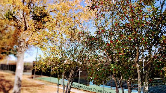 Virginia Acres Park