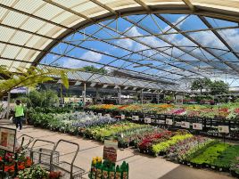 Lifestyle Home Garden
