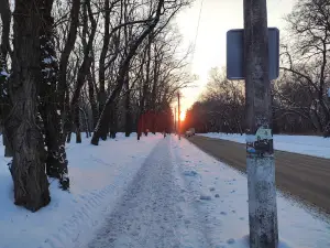 Taras Shevchenko Park