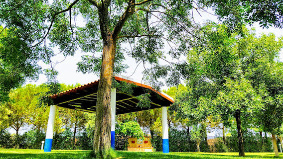 Piscina De Messejana