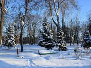 Malady park