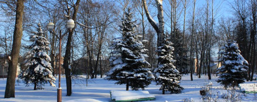 Malady park