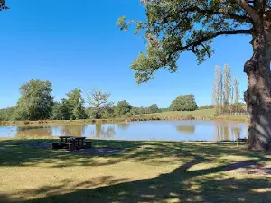 Camping municipal les vieux chenes