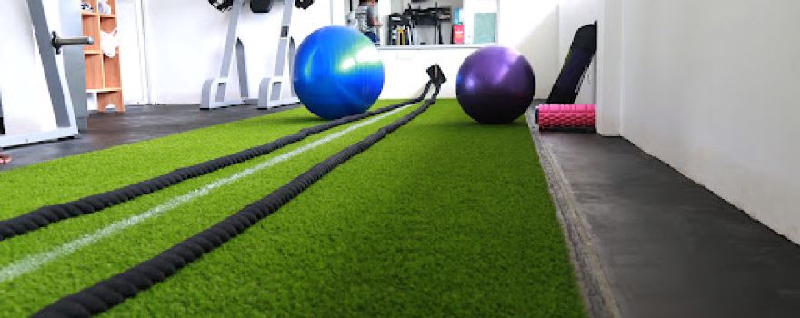 Muscle Max Gym