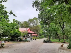 Wat Pathum Wanaram (Wat Pa)