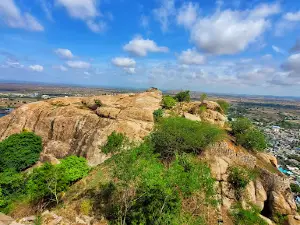 Yadagiri Fort