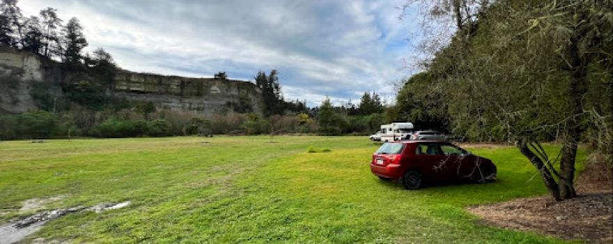 Vinegar Hill Campground - Putai Ngahere Domain