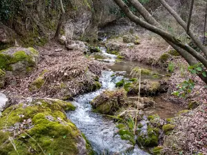 VFT Sendero Cerezuelo, Cazorla