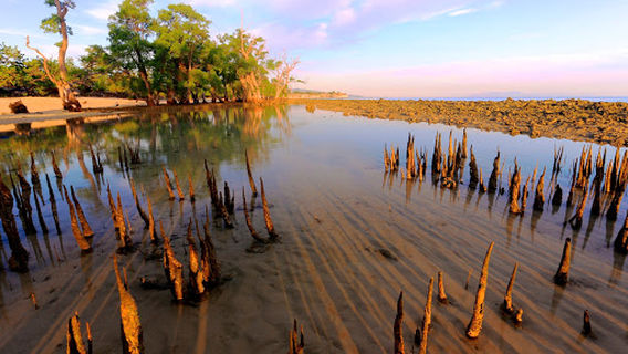 Lhok Mee | Krueng Raya