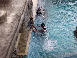 Permandian Gabe makarti morowali Sulawesi tengah