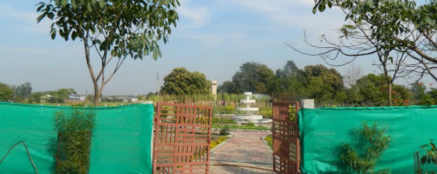Medicinal Plants Garden