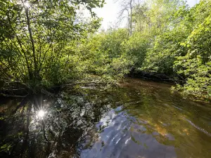 Winding Creek Campground