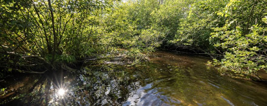 Winding Creek Campground