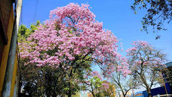 Complejo Belgrano