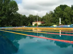 Bazeni banje Dvorovi