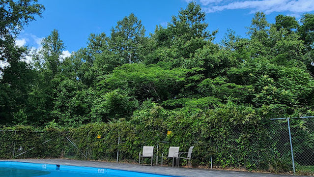 Charlottesville KOA Holiday