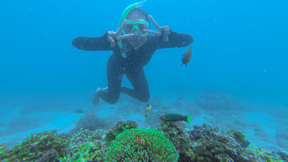 Gili Ketapang DEWA snorkeling