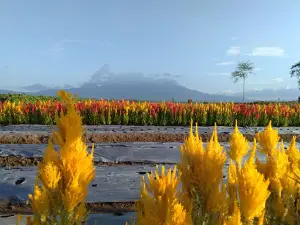 Taman Sabin Wonodadi