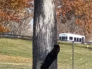 Happy Tails Dog Park