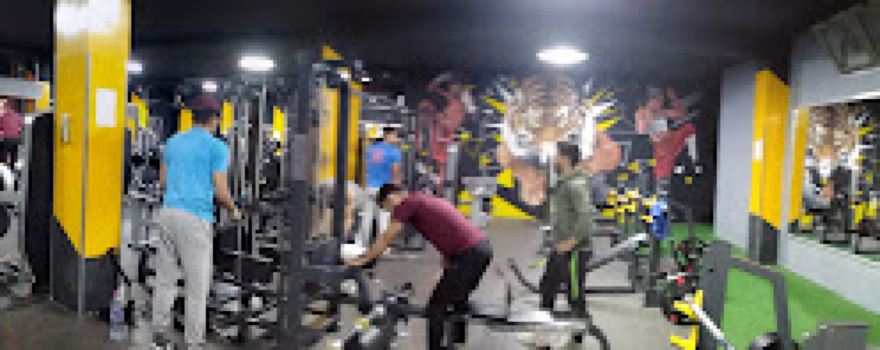 Orca gym