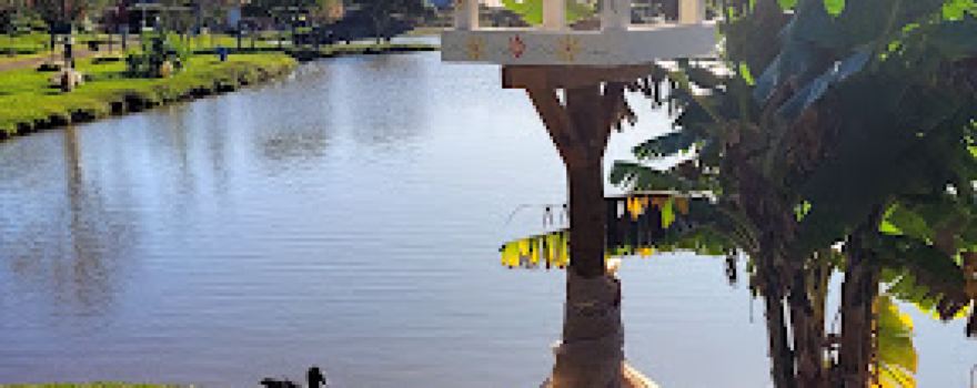 Parque Municipal (Lago)