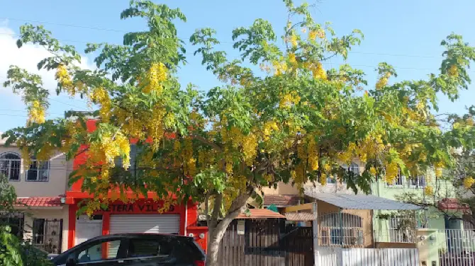 Villas del Caribe Park