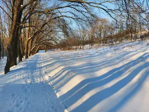 Урочище Тоннельная Балка