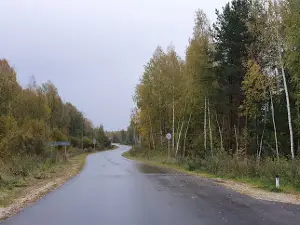 Svyazist Snt