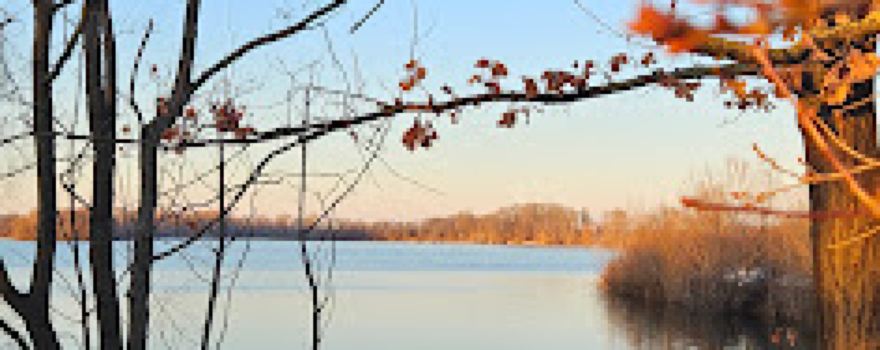 Vogelbeobachtungsturm Kiesteich Isingerode