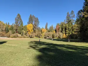 Pioneer Park