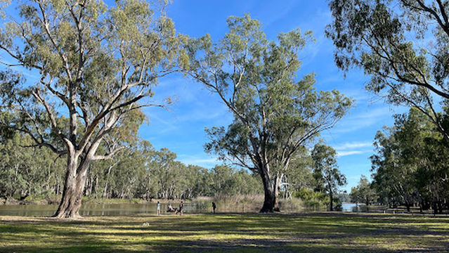Barmah National Park