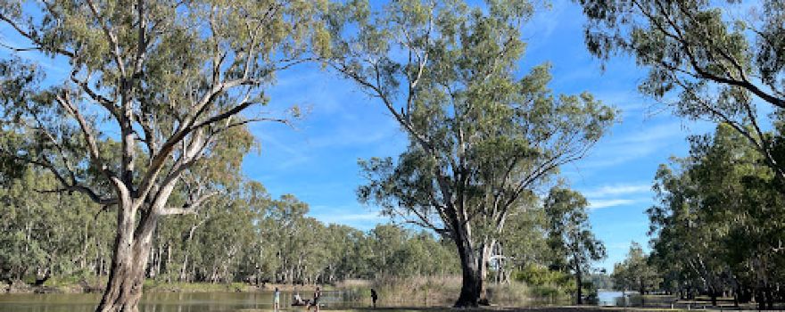 Barmah National Park