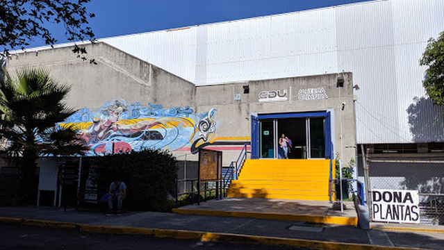 University of Guadalajara Acuatic Centre