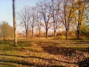 The stadium "Locomotive"