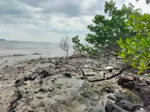 Dermaga Tanjung Pura