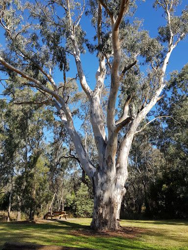 Yea Wetlands John Cummins Reserve
